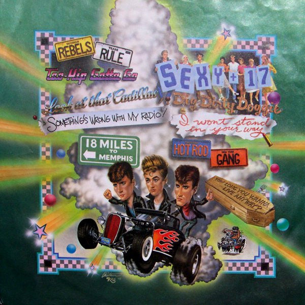 Stray Cats : Rant N' Rave With The Stray Cats (LP, Album)