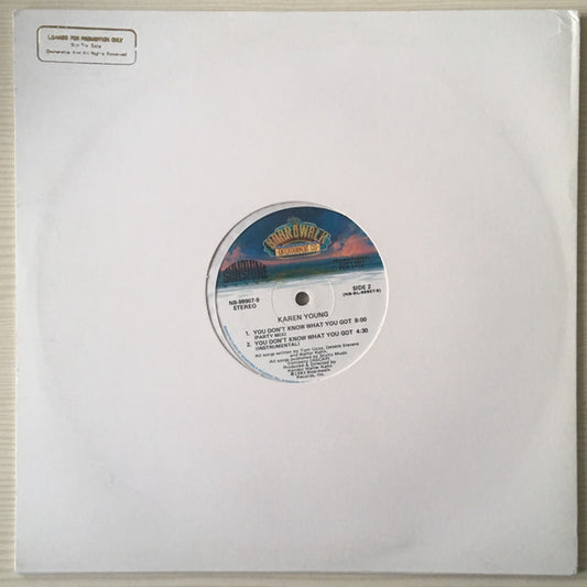 Karen Young : You Don't Know What You Got (12", Promo)