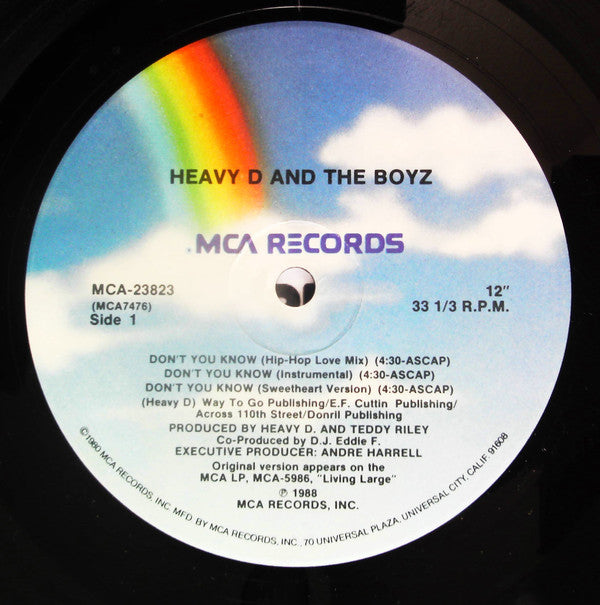 Heavy D And The Boyz* : Don't You Know / Moneyearnin' Mount Vernon (12")