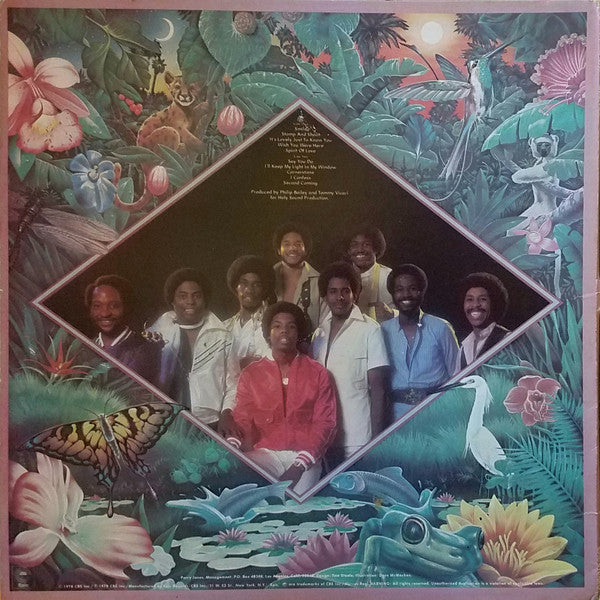 Free Life : Free Life (LP, Album, Pit)