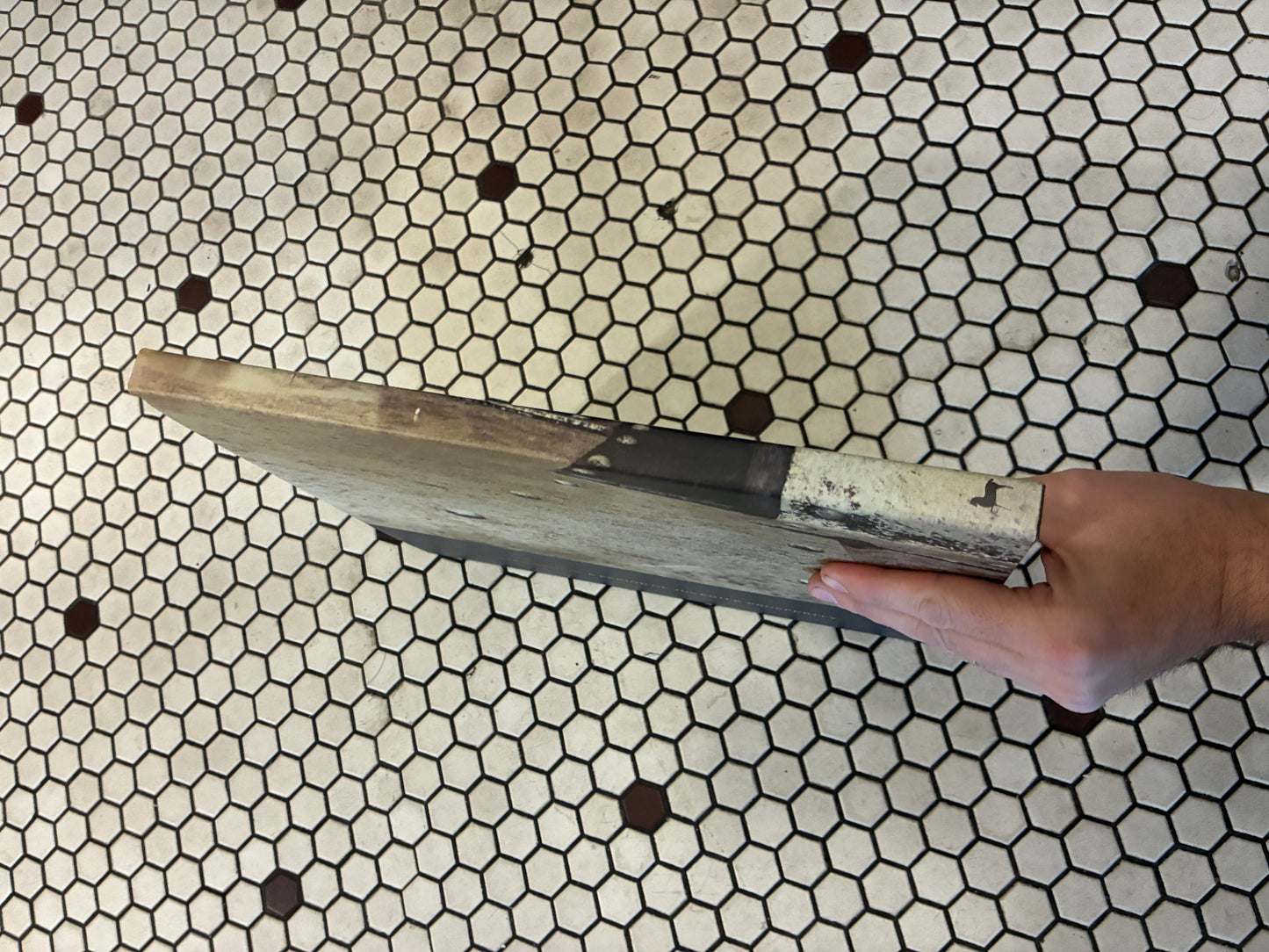 Signed Mike Brodie - A Period of Juvenile Prosperity 5th edition