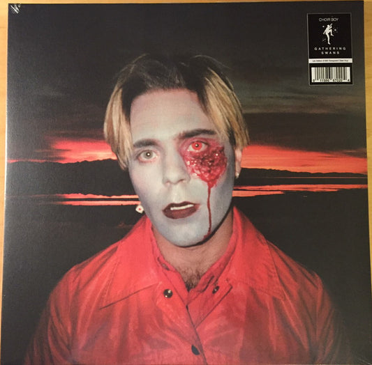 Choir Boy (2) : Gathering Swans (LP, Album, Ltd, Tra)