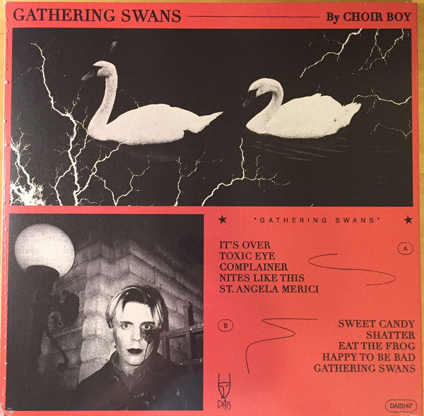 Choir Boy (2) : Gathering Swans (LP, Album, Ltd, Tra)