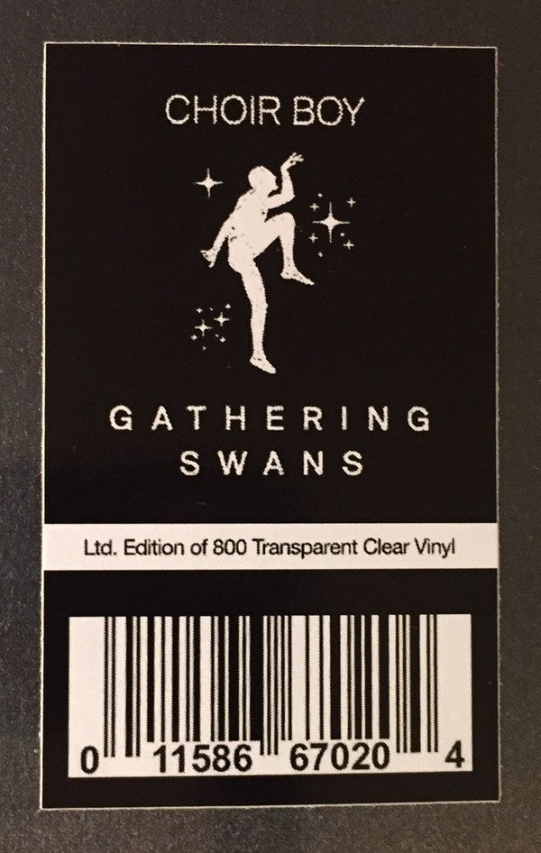 Choir Boy (2) : Gathering Swans (LP, Album, Ltd, Tra)
