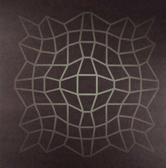 Harmonic 313 : Dirtbox (12")