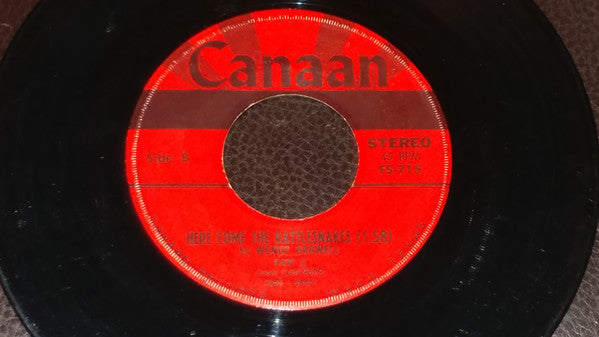 Wendy Bagwell : Here Come The Rattlesnakes (7", Single)