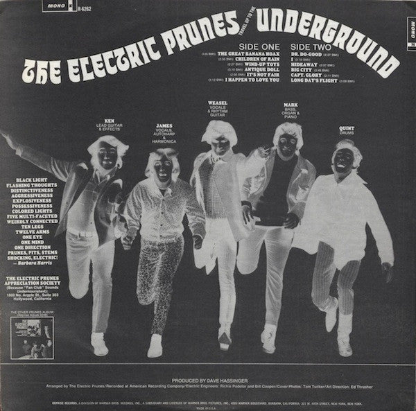 The Electric Prunes : Underground (LP, Album, Mono, Pit)