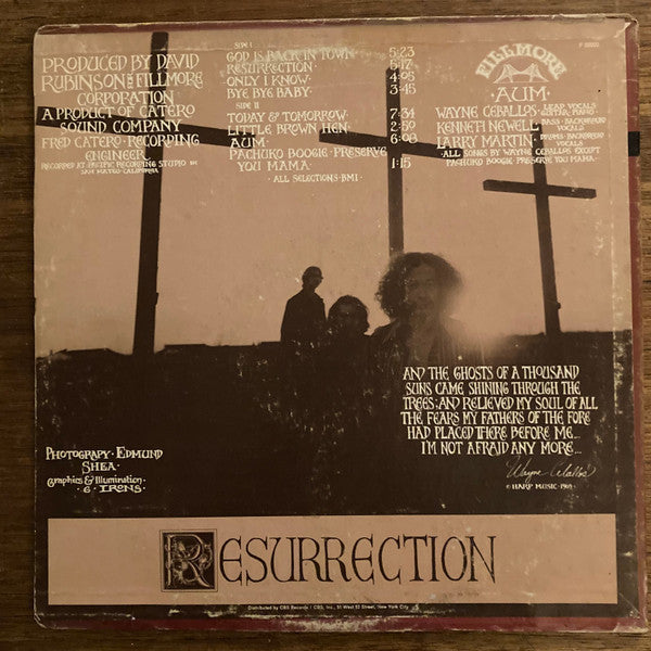 Aum (2) : Resurrection (LP, Album, Pit)