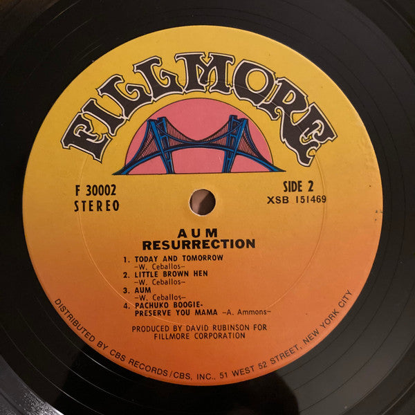 Aum (2) : Resurrection (LP, Album, Pit)