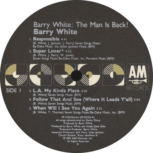 Barry White : Put Me In Your Mix (LP, Album)