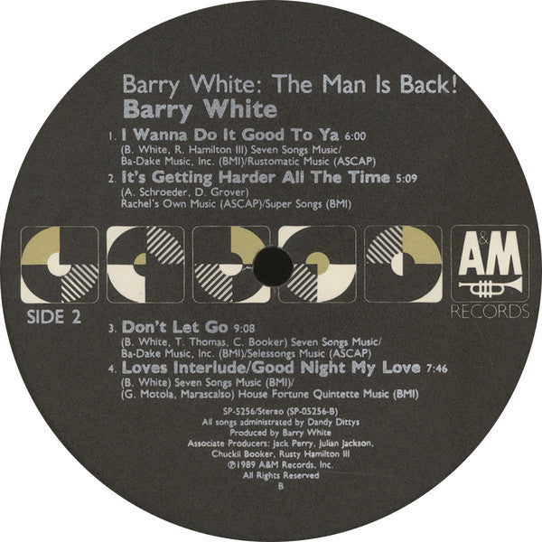 Barry White : Put Me In Your Mix (LP, Album)