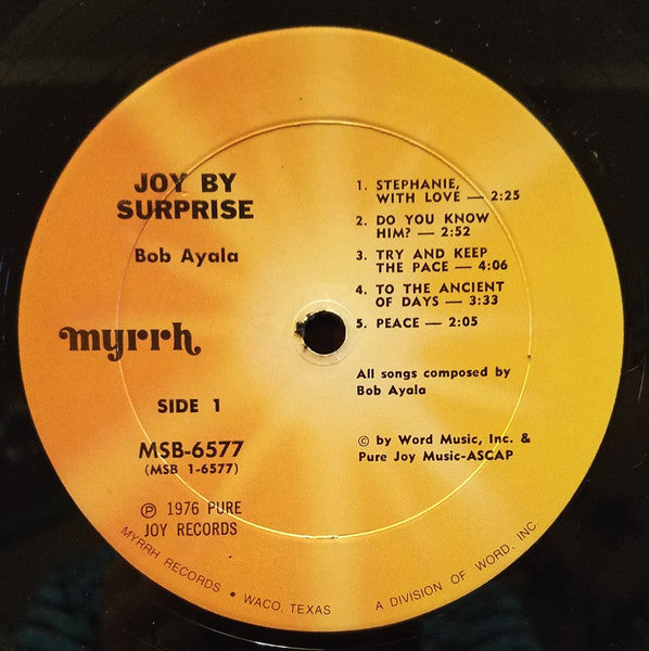 Bob Ayala : Joy By Surprise (LP)