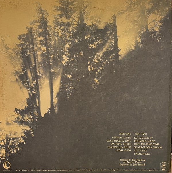 Dan Fogelberg : Nether Lands (LP, Album, Ter)