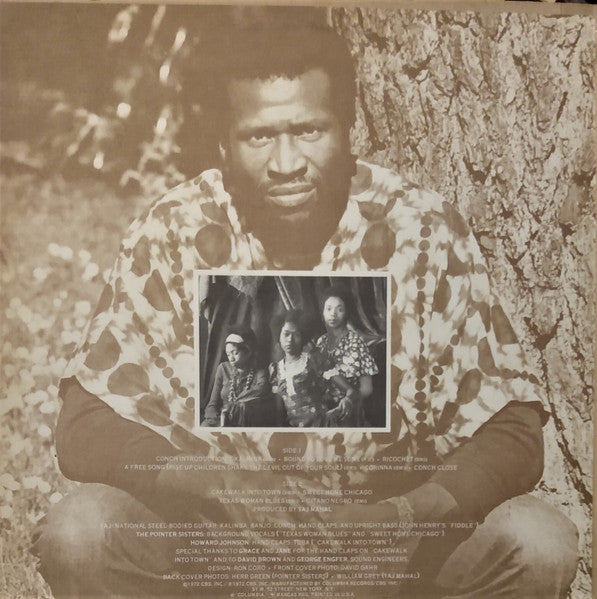 Taj Mahal : Recycling The Blues & Other Related Stuff (LP, Album)