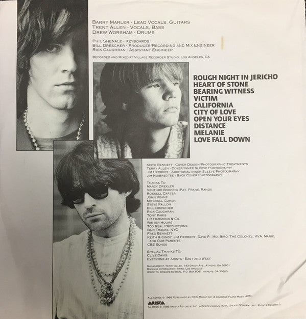 Dreams So Real : Rough Night In Jericho (LP, Album)
