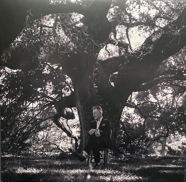 Lyle Lovett : 12th Of June (LP, Album)