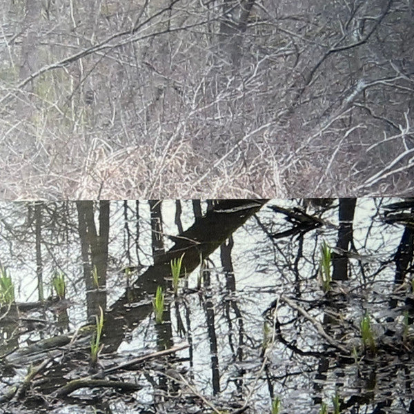 Bladee : Eversince (LP, Album, RE, Blu)