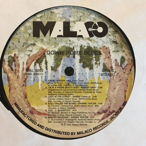 Various : Down Home Blues (2xLP, Comp, Car)