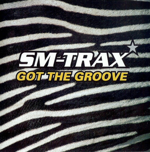 SM-Trax : Got The Groove (CD, Maxi)