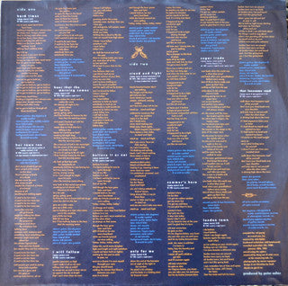 James Taylor (2) : Dad Loves His Work (LP, Album, San)