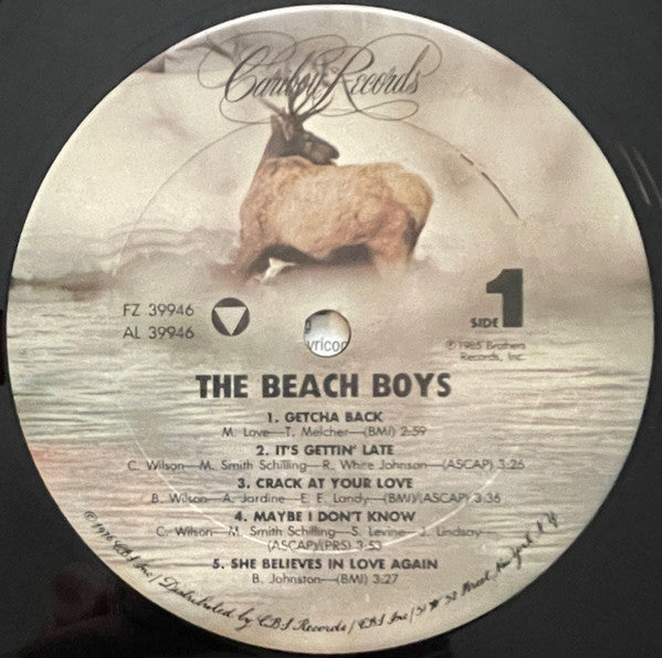 The Beach Boys : The Beach Boys (LP, Album, Car)