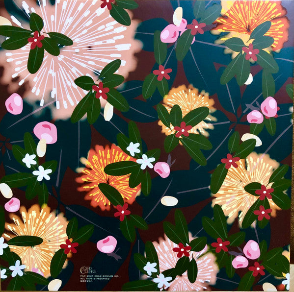 Bright Eyes : Noise Floor (Rarities: 1998-2005) (2xLP, Album, Comp, Ltd, Cha)