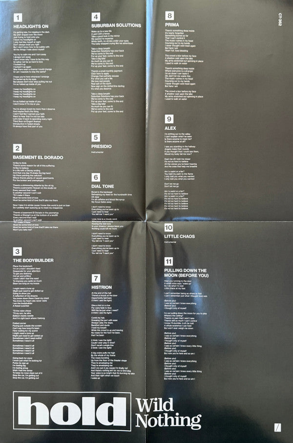 Wild Nothing : Hold (LP, Album, Ltd, Sea)