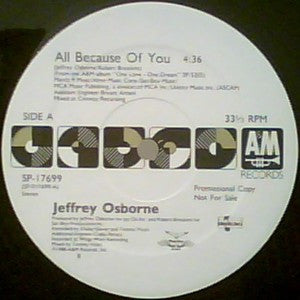 Jeffrey Osborne : All Because Of You (12", Promo)