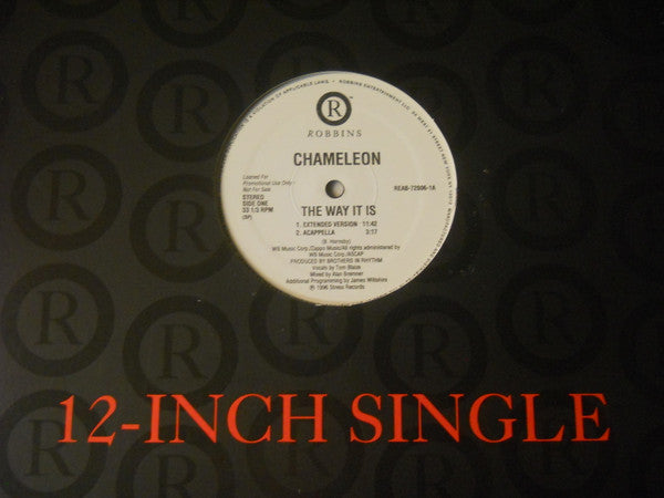 Chameleon (2) : The Way It Is (12", Pro)