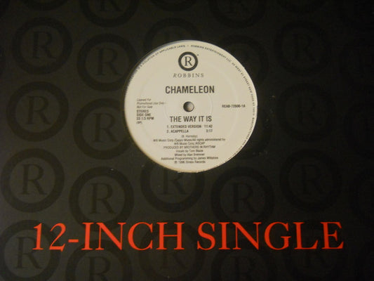 Chameleon (2) : The Way It Is (12", Pro)