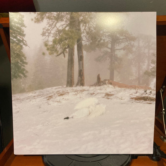 Wisp (5) : Pandora (LP, EP, Mil)