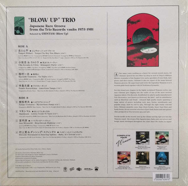 Chintam (Blow Up)* : Japanese Groove Disc Guide / 和モノA To Z Presents "Blow Up" Trio (LP, Comp, Ltd, 180)