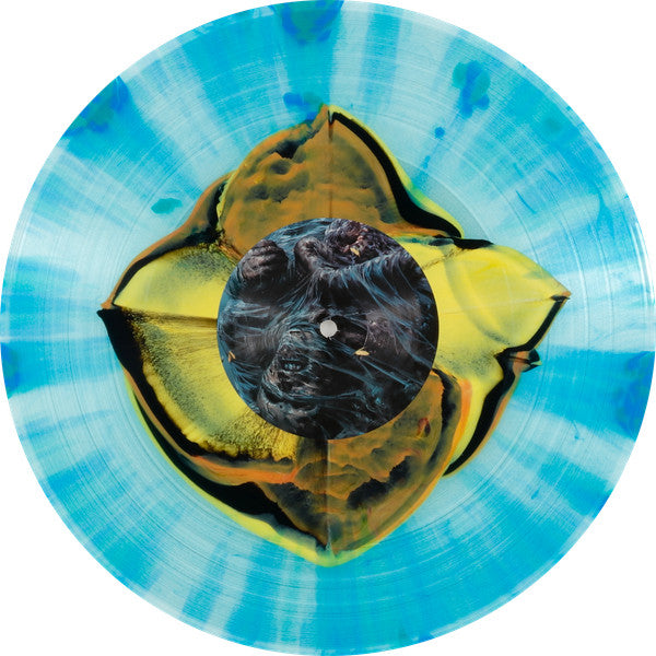 Delusional Parasitosis : Regurgitating Intestinal Rot (LP, Comp, Ltd, Num, RM, Geo)