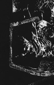 False Moniker : Blooming Carcass (Cass, Ltd, C20)