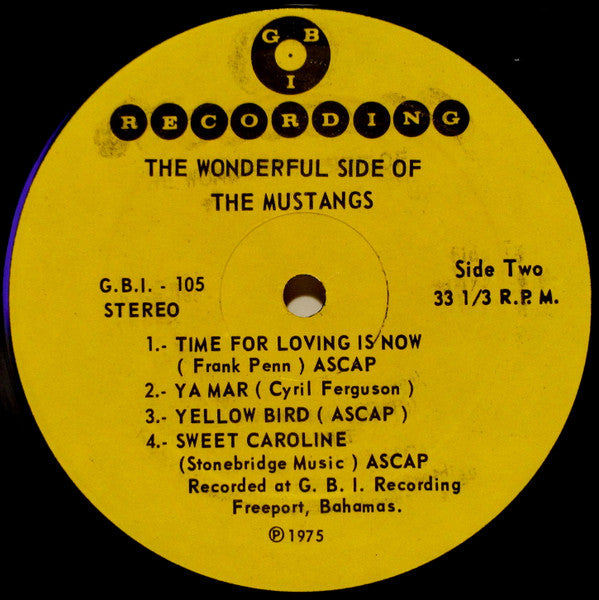 The Mustangs* : The Wonderful Side Of The Mustangs (LP, Album)