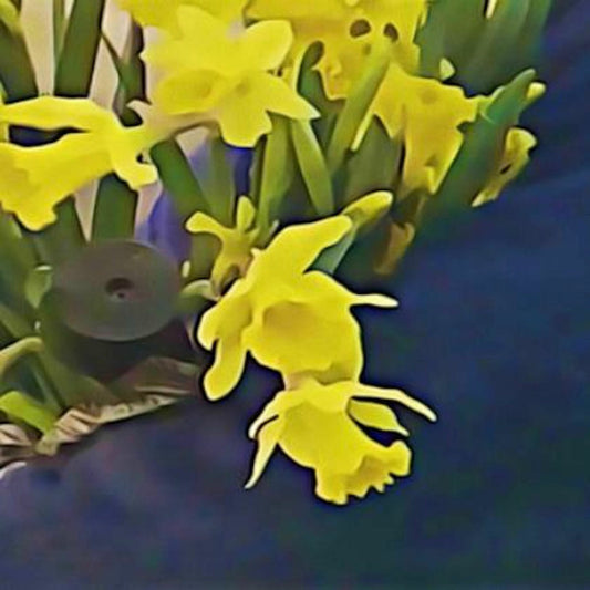 Dean Blunt & Elias Bender Rønnenfelt : Lucre (LP, S/Sided, MiniAlbum, Ltd)