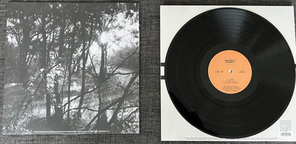 Tame Impala : Deadbeat (2xLP, Album)