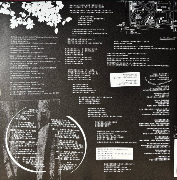 小沢健二* : 日比谷野音の小沢健二 オフィシャル海賊盤 (LP, Album)