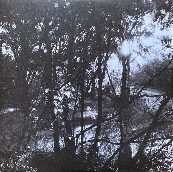 Tame Impala : Deadbeat (2xLP, Album)