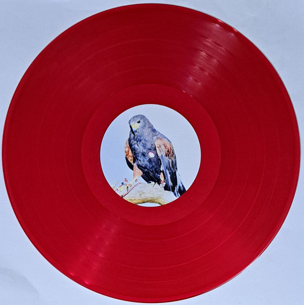 Avalon Emerson & The Charm* : Written Into Changes (LP, Album, Ltd, Tra)