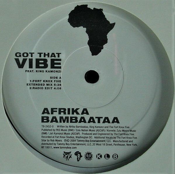 Afrika Bambaataa : Got That Vibe (12")