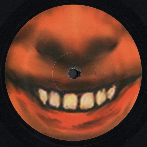 Aphex Twin : ...I Care Because You Do (2xLP, Album, RE)
