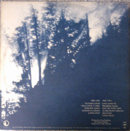 Dan Fogelberg : Nether Lands (LP, Album, Pit)