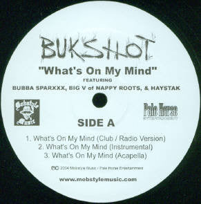 Bukshot : What's On My Mind (12", Promo)