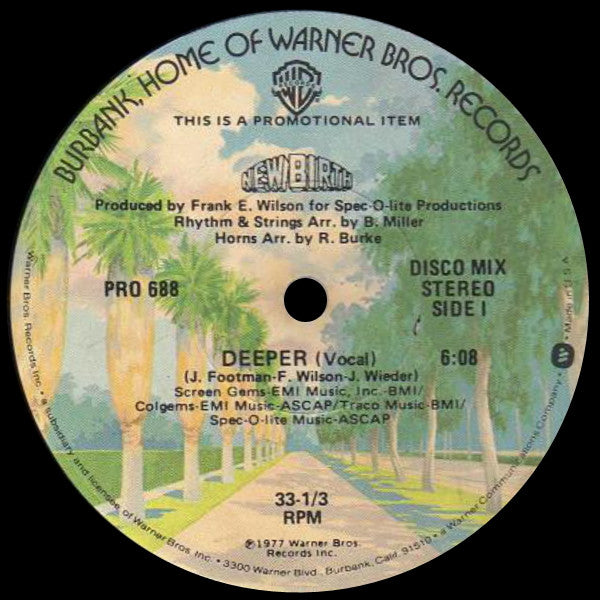 New Birth : Deeper (12", Promo)