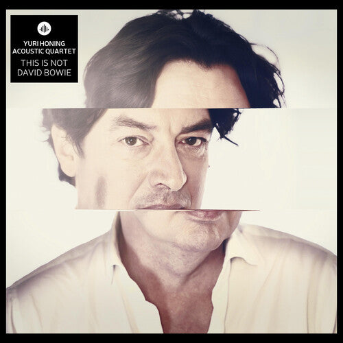 This Is Not David Bowie Cover Art