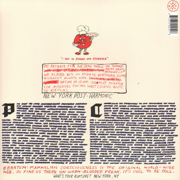 Parquet Courts : Light Up Gold (LP, Album)