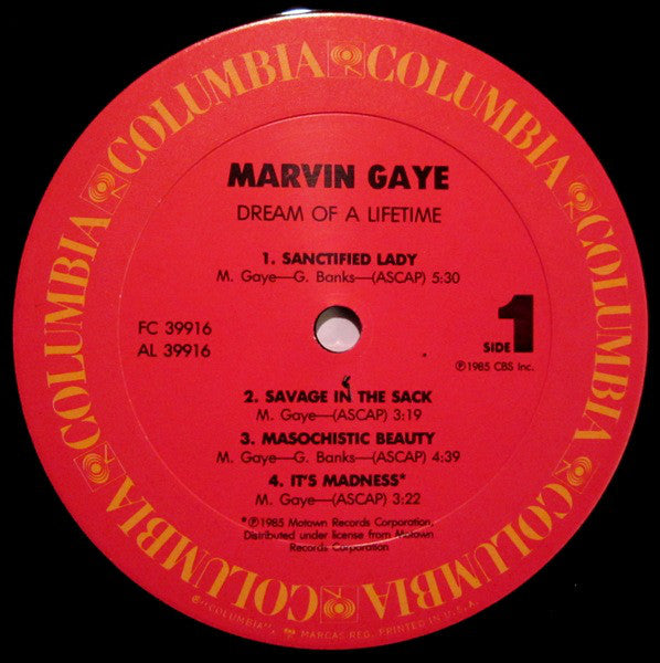 Marvin Gaye : Dream Of A Lifetime (LP, Album, Pit)