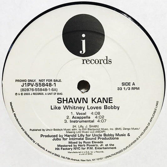 Shawn Kane : Like Whitney Loves Bobby (12", Promo)