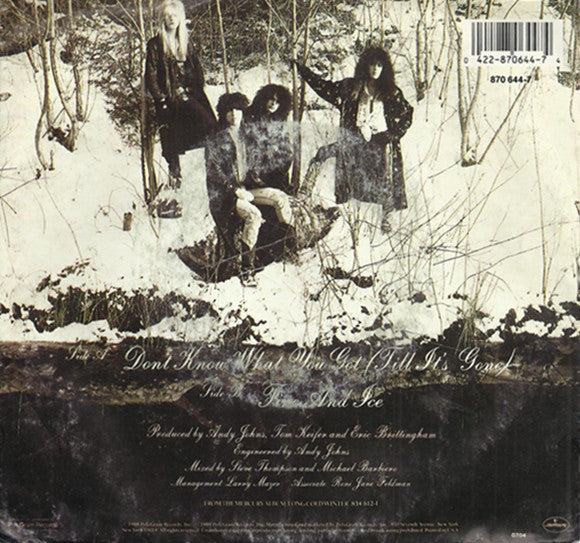 Cinderella (3) : Don't Know What You Got (Till It's Gone) (7", Single, 49)